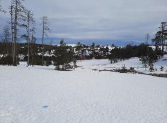 placevi   Zlatibor  Zlatibor    Vodice